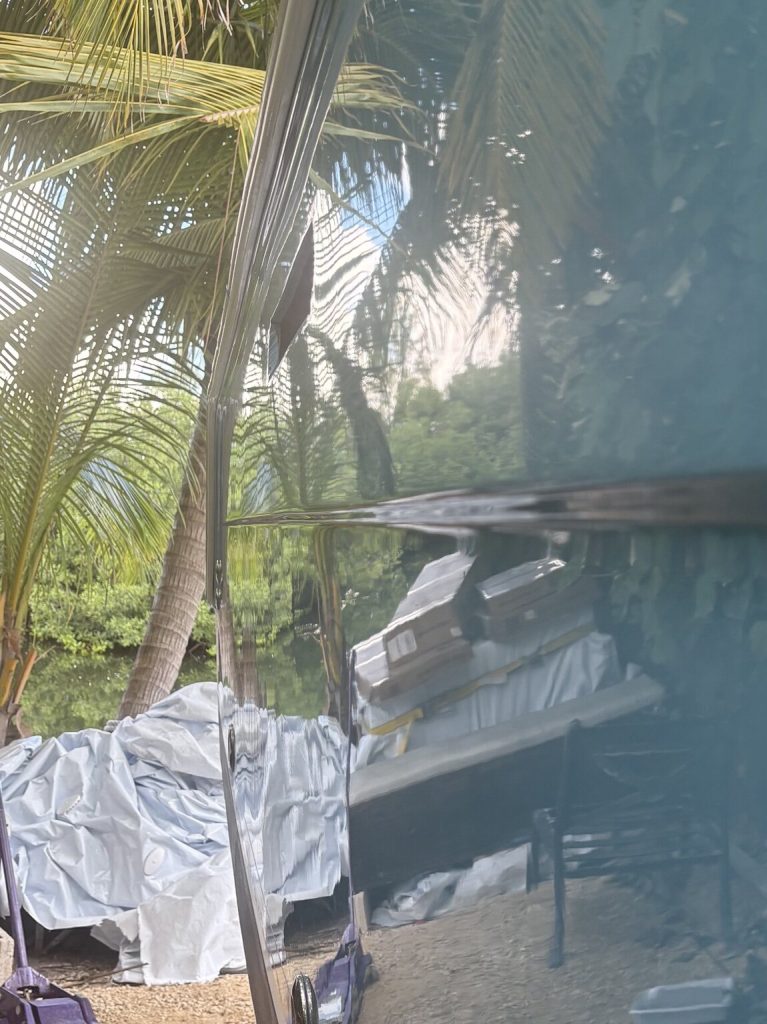 Close-up of palm trees reflected in the polished green-blue hull