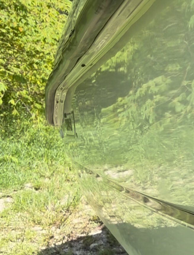 Green foliage reflected in the restored boat hull